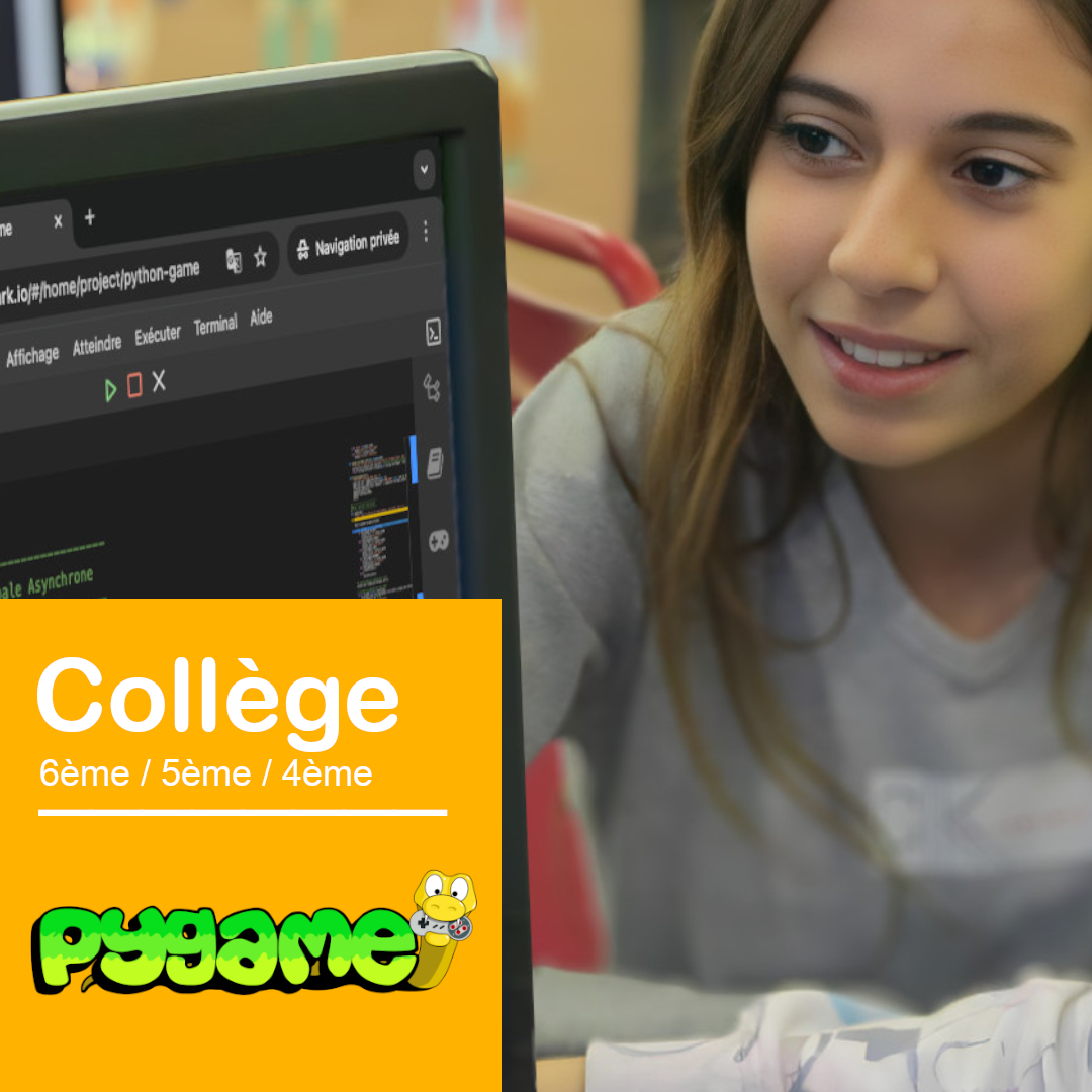 Ateliers jeux vidéo Python - collège Francs Bourgeois La Salle